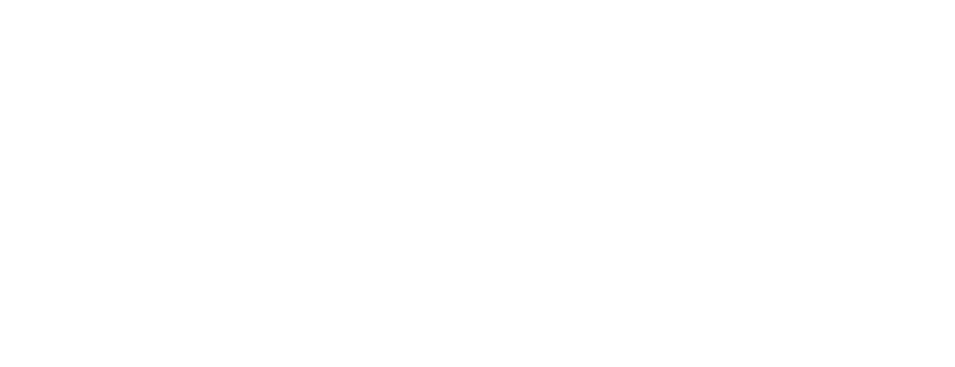 Metis Analytica